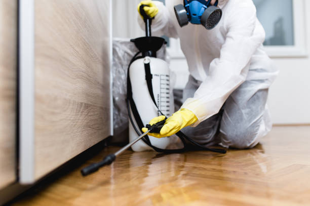 Best Residential Pest Control  in Prince Frederick, MD