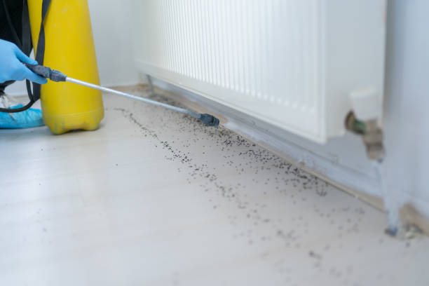Trusted Prince Frederick, MD Pest Control Experts